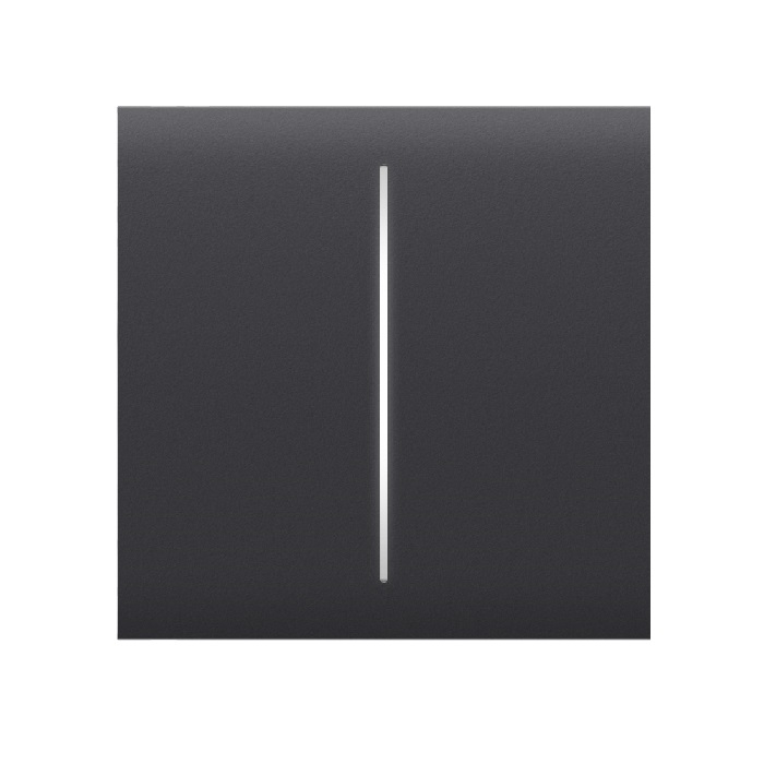 Picture of Center Button (2-Gang) [55] Graphite Button AJAX